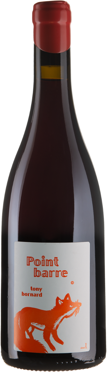 Акція на Вино Tony Bornard Ploussard Point Barre 2020 красное сухое 0.75 л (BWR8746) від Stylus