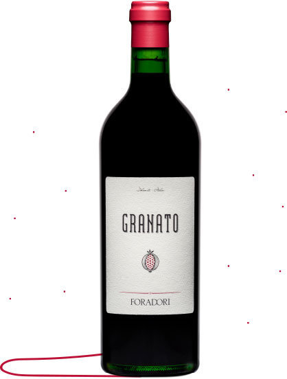 Акція на Вино Foradori Granato, красное сухое, 0.75л (BW47454) від Stylus