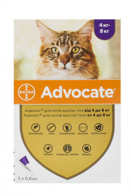 Акція на Капли Bayer/Elanco Advocate для кошек 4-8 кг от заражений эндо и экто паразитами 3 пипетки/1 уп. (4007221031970) від Stylus