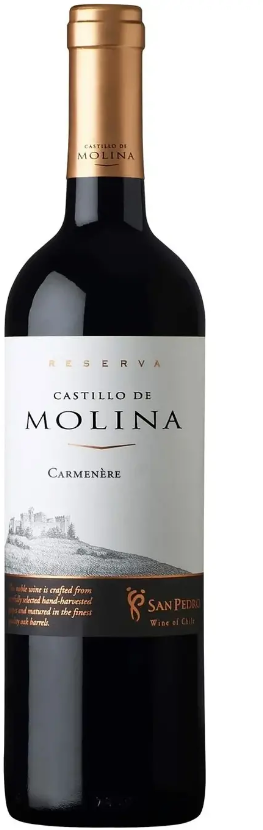 Акція на Вино Castillo de Molina Carmenere красное сухое 11.5-14% 0.75 л (WNF7804300122959) від Stylus