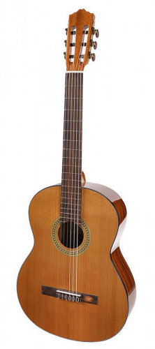 Акція на Классическая гитара Salvador Cortez CC-10L від Stylus