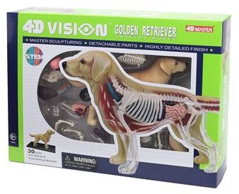 Акція на Объемная анатомическая модель 4D Master Собака золотистый ретривер FM-622007 від Stylus