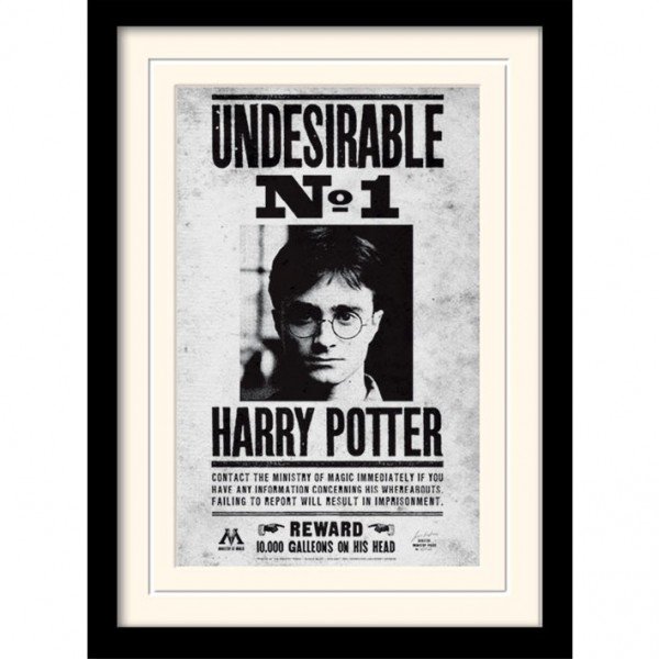Акція на Постер в раме Pyramid International Harry Potter Undesirable No1 30x40 см (MP10616P-PL) від Stylus