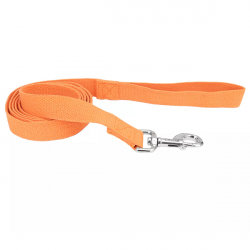 Акція на Поводок Coastal New Earth Soy Dog Leash для собак оранжевый 2.5смх1.83 м (56718) від Stylus