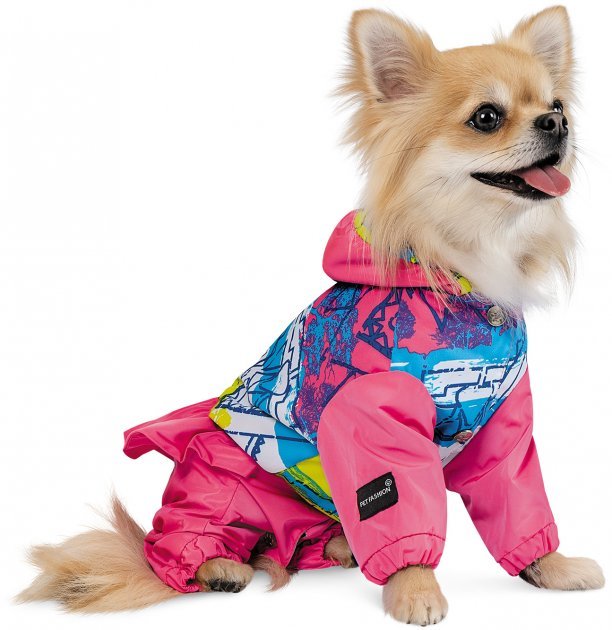 Акція на Дощовик для собак Pet Fashion Juicy S (4823082422784) від Y.UA