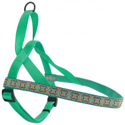 Акція на Шлея Coastal Ribbon Weave Harness для собак темно-бірюзовий з кісточками Xs 1.6-40-48 см від Y.UA