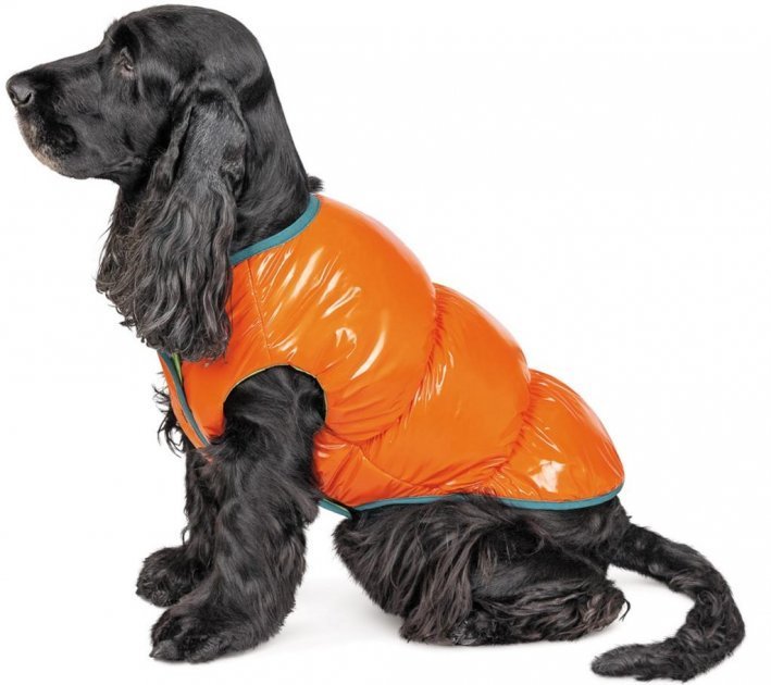 Акція на Жилет Pet Fashion Spring помаранчевий Xs (4823082420445) від Y.UA