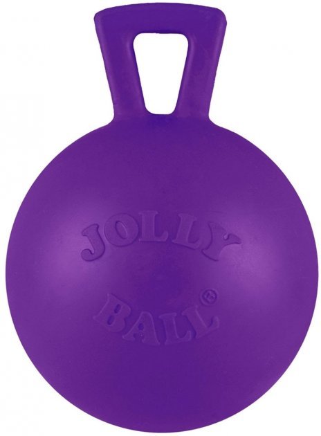 Акція на Игрушка для собак Jolly Pets Таг-н-Тосс гиря Фиолетовая 10 см (404PRP) від Stylus