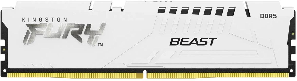 

Kingston Fury 32 Gb DDR5 6000 MHz Beast Expo White (KF560C30BWE-32) Ua