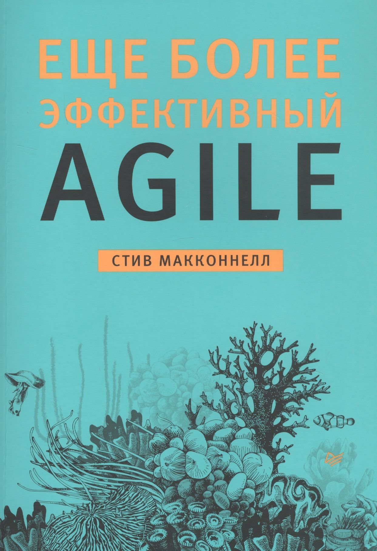 

Стив Макконнелл: Еще более эффективный Agile