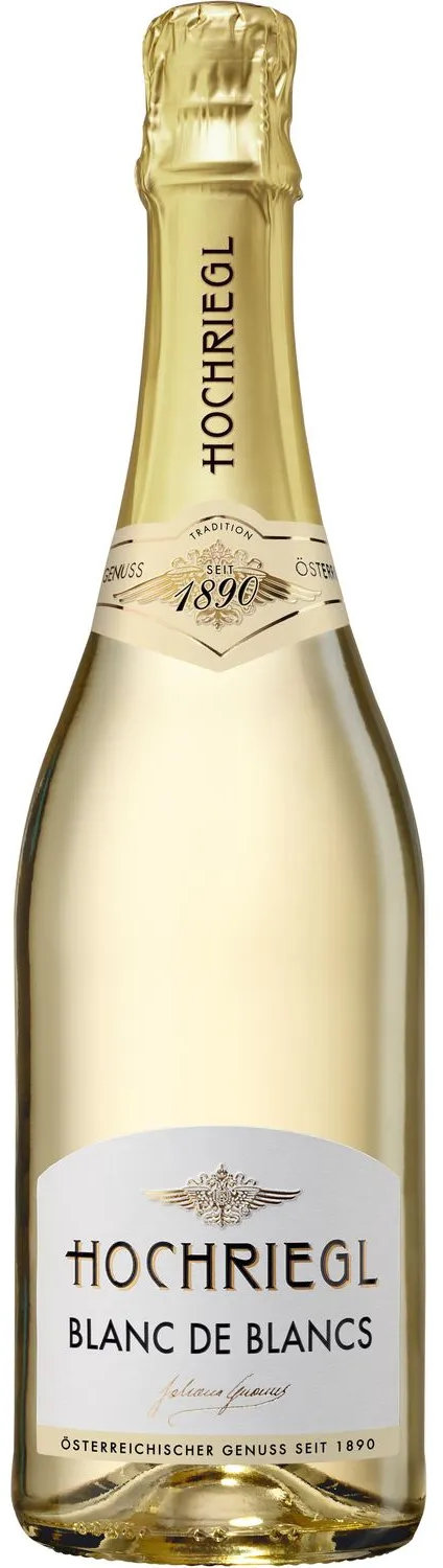 

Вино ігристе Hochriegl Blanc De Blancs, біле сухе, 11.5% 0.75л (MAR9005701014487)