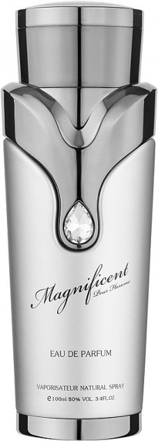 

Парфюмированная вода Sterling Magnificent Pour Homme 100 ml