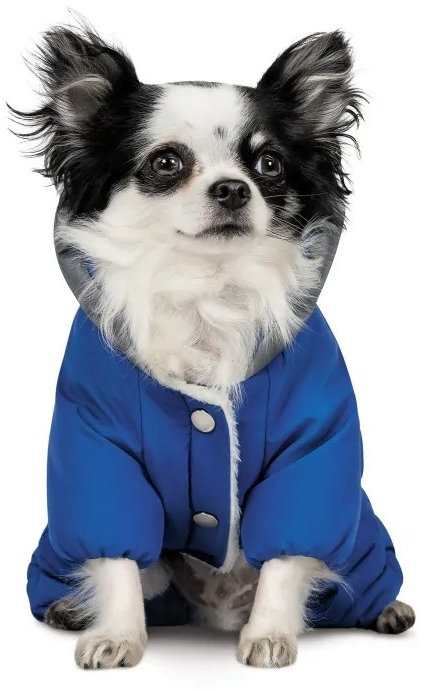 

Костюм для собак Pet Fashion Zhan S (PR243239)