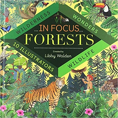 Акція на Libby Walden: In Focus. Forests від Y.UA