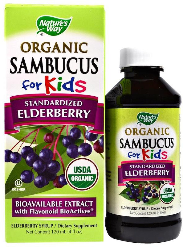 Акція на Nature's Way Organic Sambucus for Kids Standardized Elderberry 4 fl oz (120 ml) Berry Flavor Черная бузина від Stylus