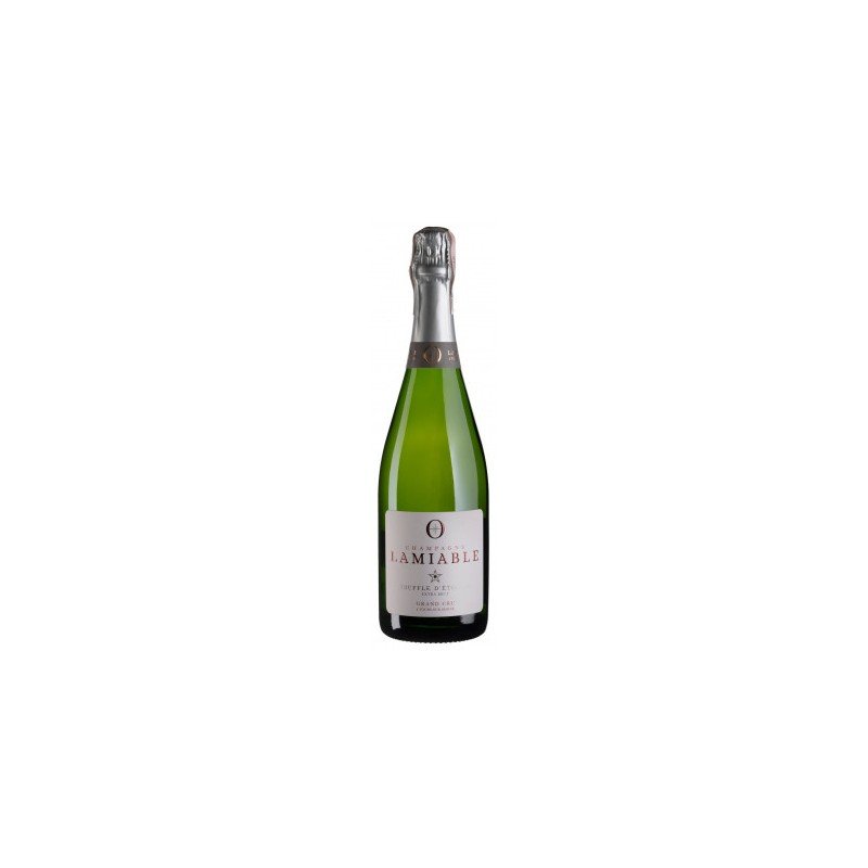 Акція на Игристое Lamiable Souffle d`Etoiles Extra Brut Grand Cru (0,75 л.) (BW53703) від Stylus