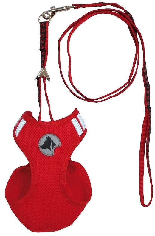Акція на Набір Croci Hiking Parure регульована шлейка + повідець нейлон Xs шия 18-20 см груди 26-29 см Червоний (C5081652) від Y.UA