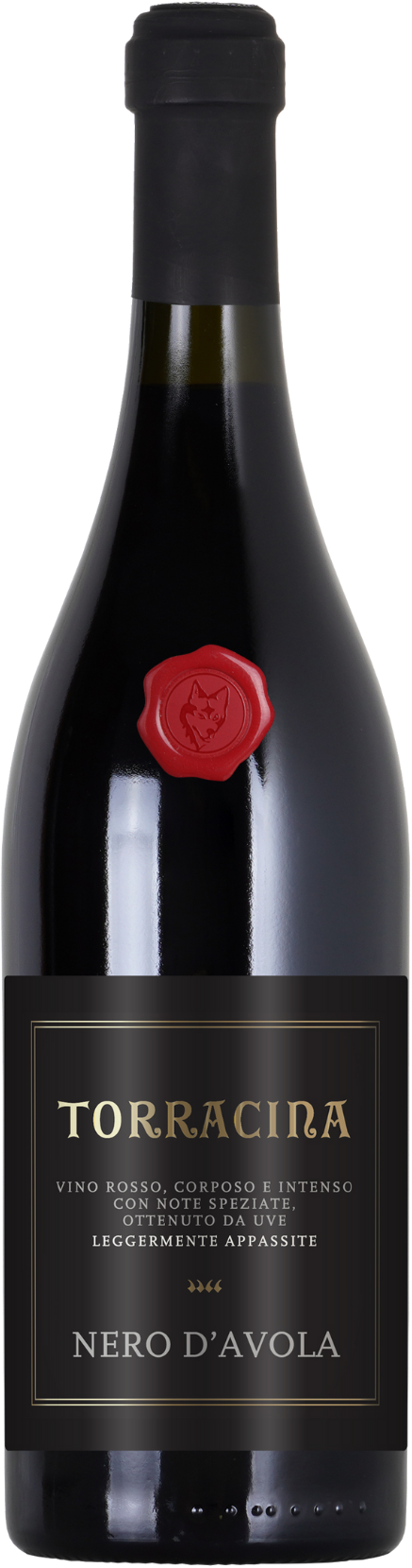 Акція на Вино Botter Torracina Nero d'Avola Appassite Sicilia красное полусухое 0.75 (VTS2991540) від Stylus