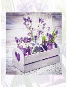 

Альбом Evg 20sheet S29x32 Lavender