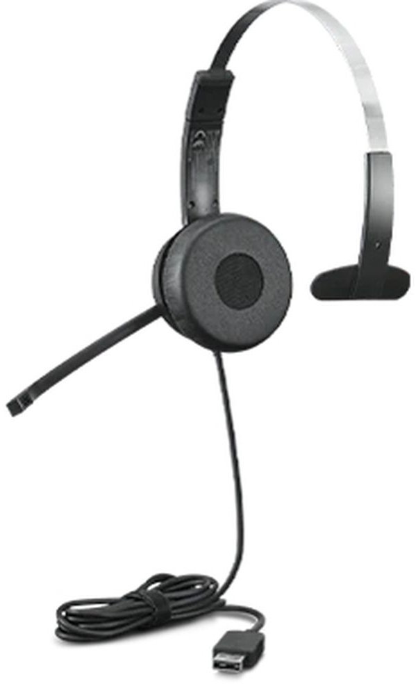 

Lenovo 100 Mono Usb Headset (4XD1B61617)