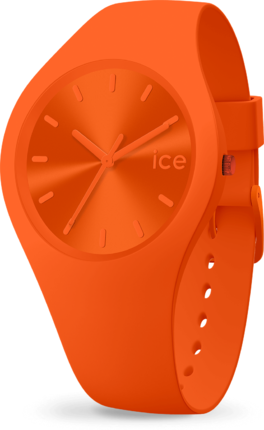 

Ice-Watch 017911