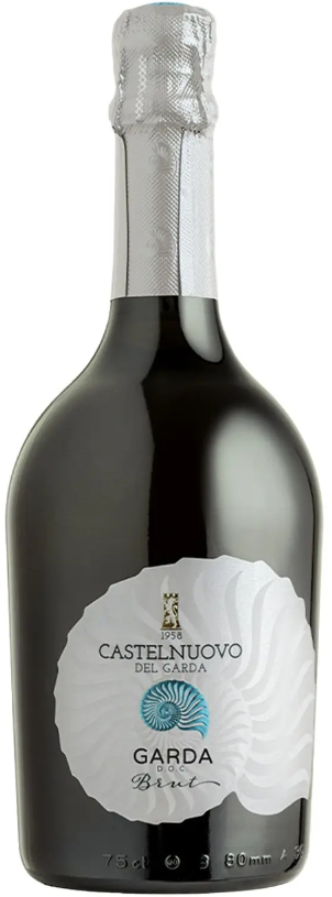 Акція на Игристое вино Castelnuovo del Gadra Garda Brut белое брют 0.75 л (AS8000020634040) від Stylus