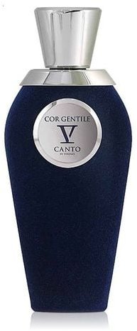 Акція на Духи V Canto Cor Gentile 100 ml від Stylus