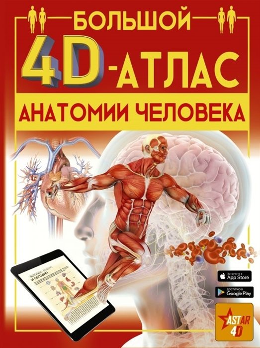 

А. А. Спектор: Большой 4D-атлас анатомии человека