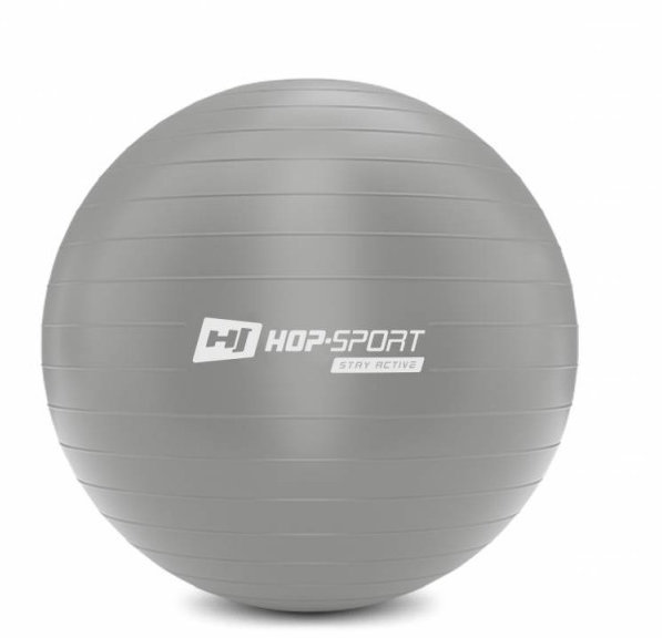 

Hop-Sport HS-R065YB silver 65 см