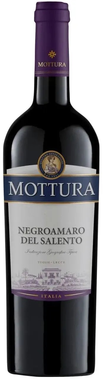 

Вино Mottura Vini Negroamaro del Salento IGT, червоне, сухе, 11-14.5% 0.75л (MAR8006853000763)