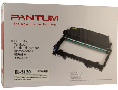 Акція на Pantum DL-5120P 30K чип 2023, BM5100ADN/BM5100ADW, BP5100DN/BP5100DW (DL-5120P) від Stylus