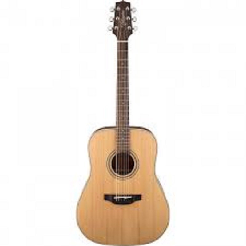 

Акустическая гитара Takamine GD20-NS