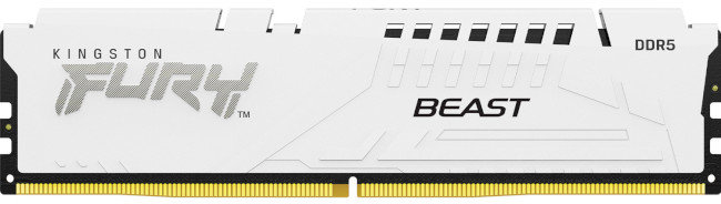 

Kingston Fury 16 Gb DDR5 6000 MHz Beast Expo White (KF560C30BWE-16)