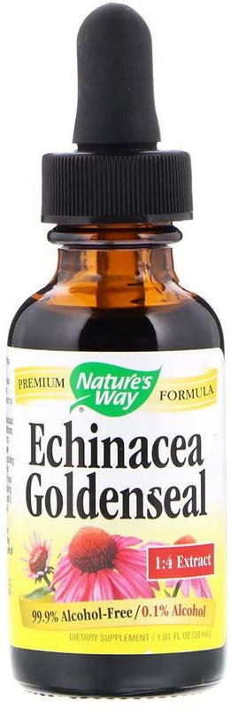 Акція на Nature's Way Echinacea Goldenseal Alcohol Free 99.9% 1 fl oz (30 ml) Эхинацея и гидрастис від Stylus