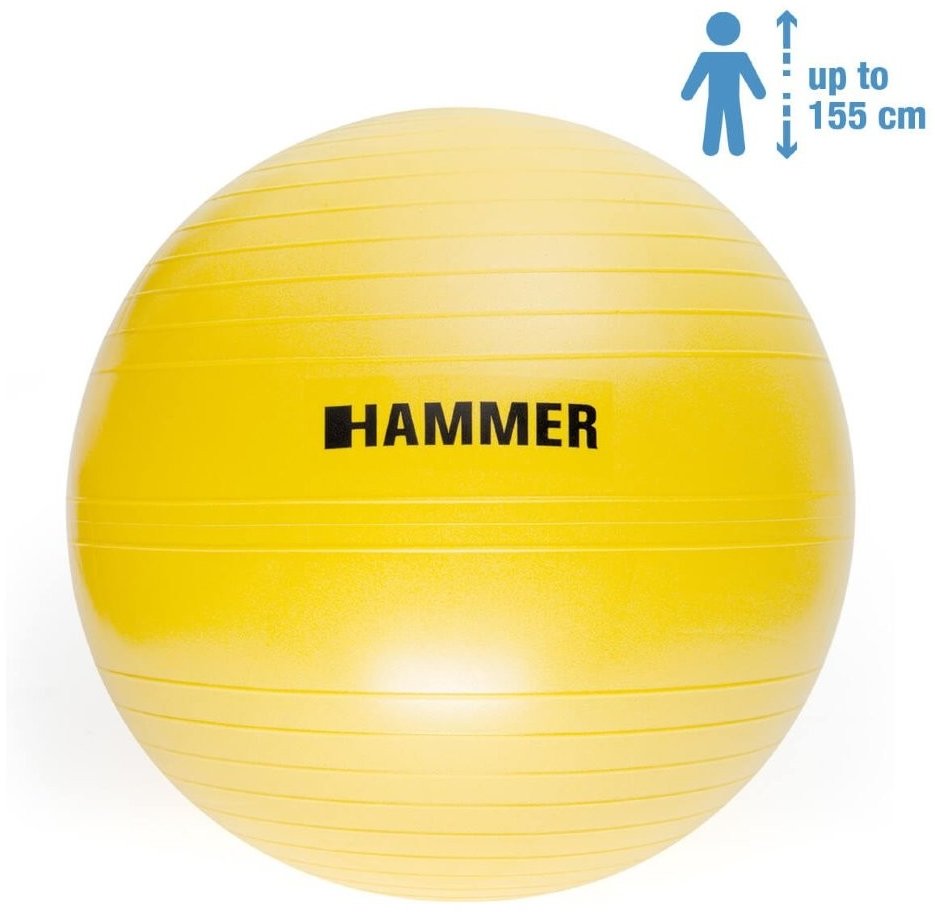 

Hammer Gymnastics Ball Anti-Burst System 55 cm желтый (66406)