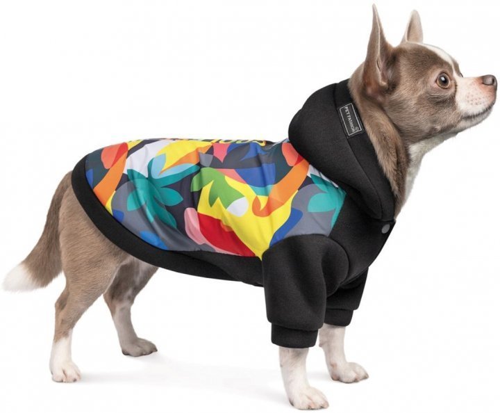 

Толстовка Pet Fashion The Coolest M (4823082420353)