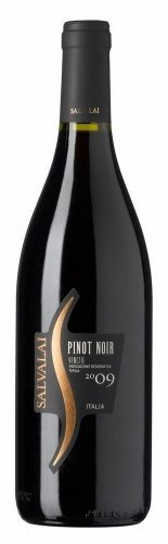 

Вино Salvalai Pinot Noir Igt червоне сухе 0.75 л (YL8005276018010)