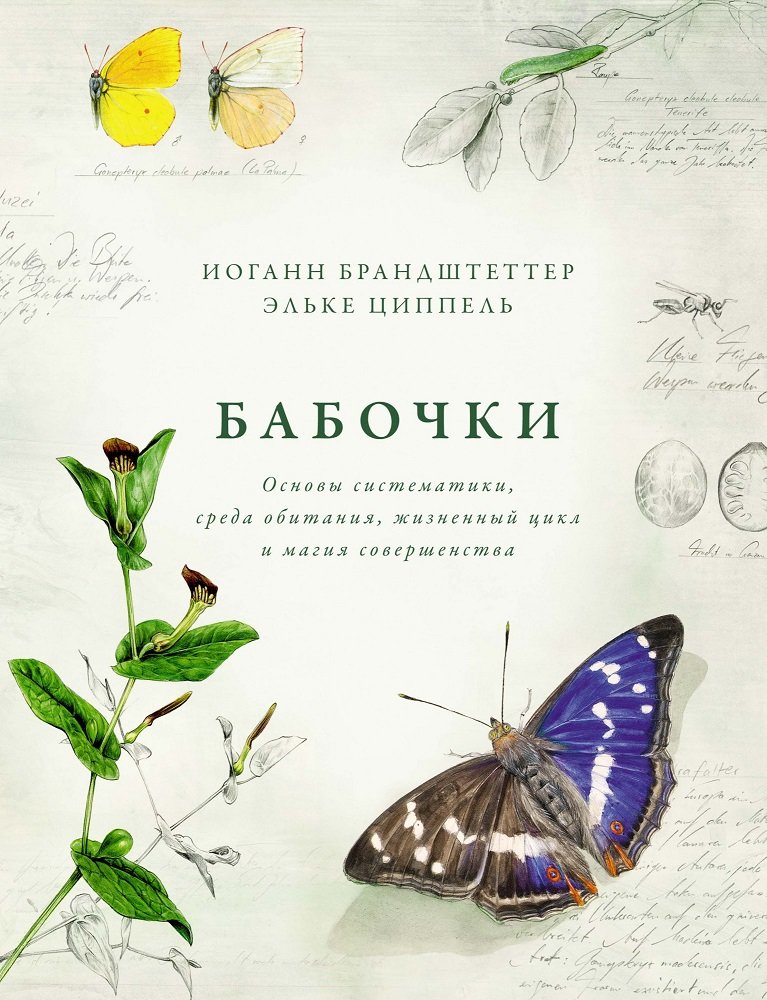 

Йоганн Брандштеттер, Ельке Ціппель: Метелики. Основи систематики, середовище проживання, життєвий цикл і магія досконалості