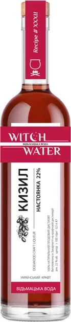 

Настойка Witch Water Dogwood Кизил 22% 0.5 л (VTS6344032)