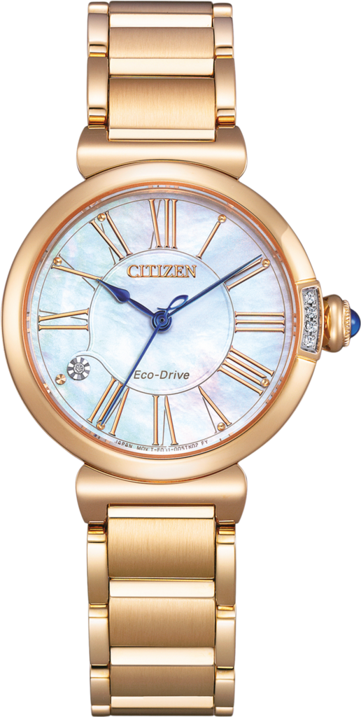 

Citizen EM1063-89D (304333)