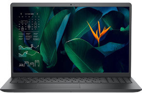 

Dell Vostro 3515 (N6264VN3515)