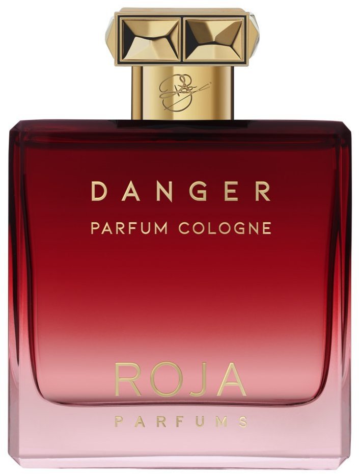 Акція на Одеколон Roja Danger Pour Homme Parfum Cologne 100 ml від Stylus