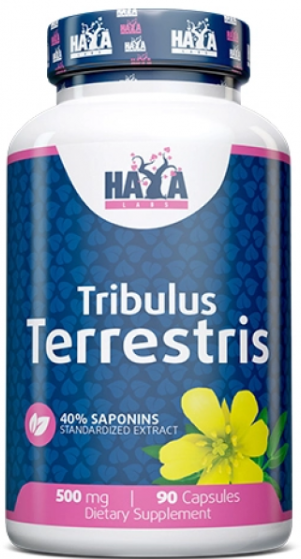 Акція на Haya Labs Tribulus Terrestris Трибулус Террестрис 500 мг 90 капс від Stylus