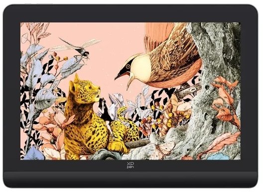 

XP-Pen Artist Pro 16 (Gen 2) black, 16", 5080 LPI, 16384 рівнів, 2560x1600