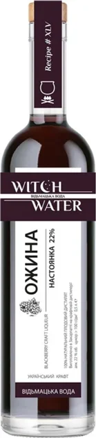 Акція на Настойка Witch Water Blackberry Ежевика 22% 0.5 л (VTS6344045) від Stylus