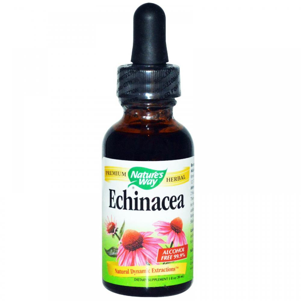 Акція на Nature's Way Echinacea Alcohol Free 99.9% 1 fl oz (30 ml) Эхинацея без спирта від Stylus