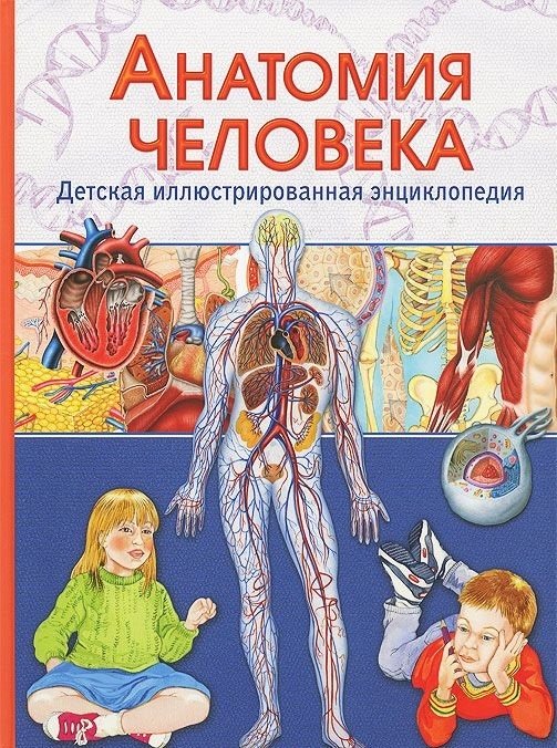 

Винченцо Гуиди: Анатомия человека. Детская иллюстрированная энциклопедия