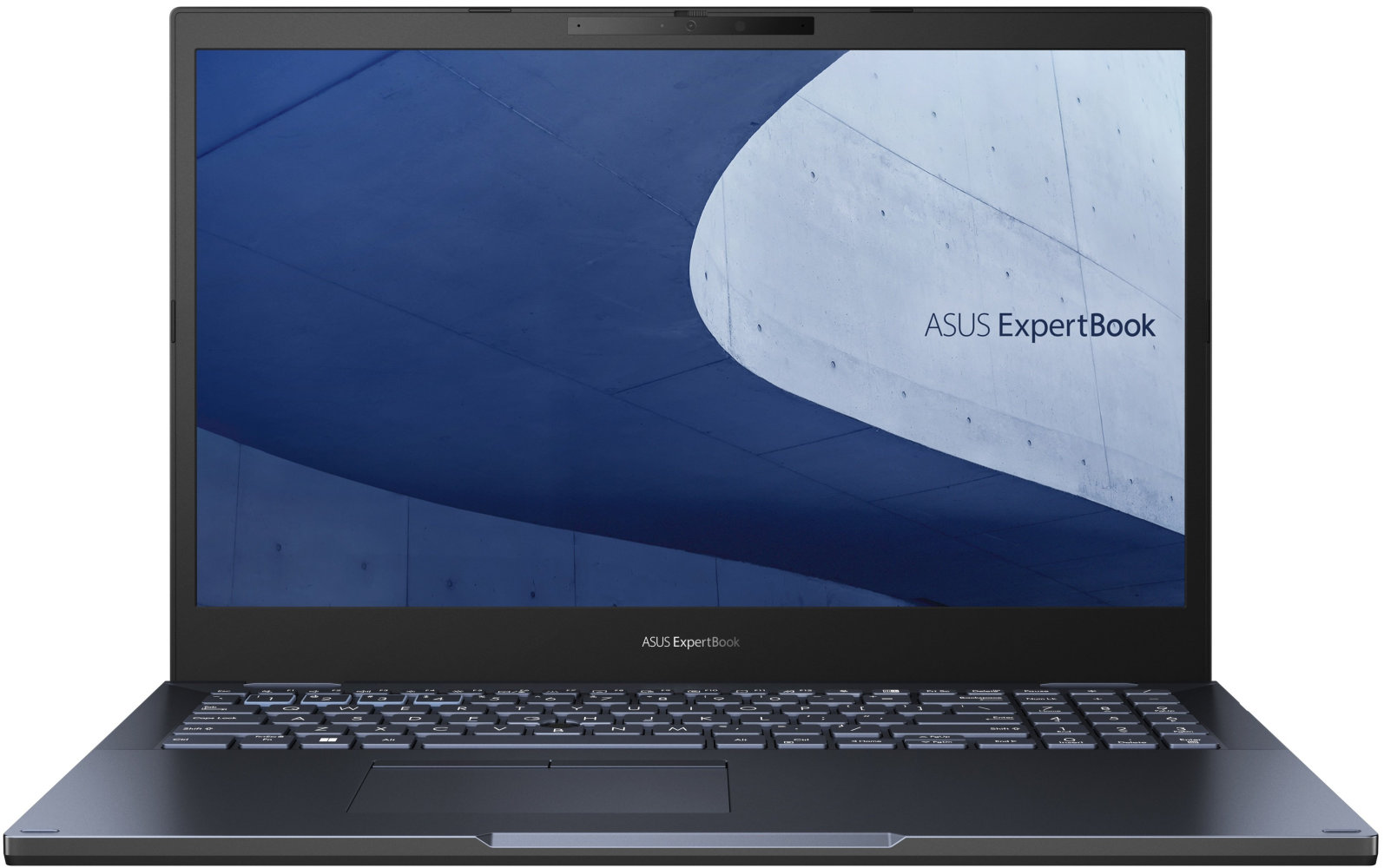 

Asus ExpertBook L2 L2502CYA-BQ0135 (90NX0501-M00910) Ua