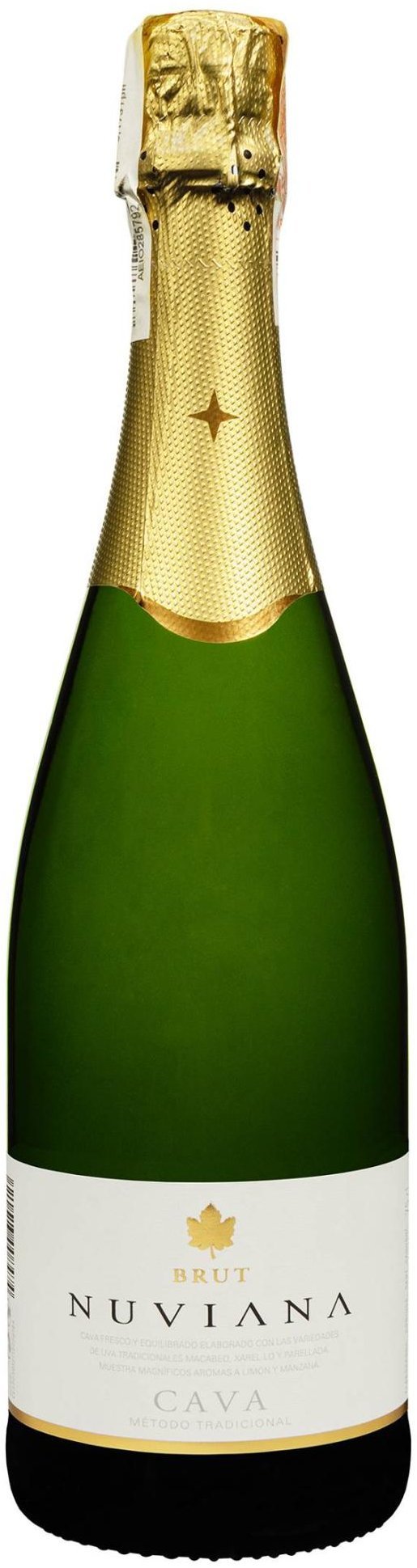 

Вино ігристе Codorniu Cava Nuviana Brut біле сухе 0.75 л (FSH_8410013008474)