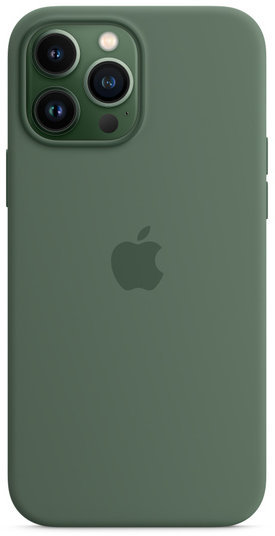 

Apple Silicone Case with MagSafe Eucalyptus (MN6C3) for iPhone 13 Pro Max